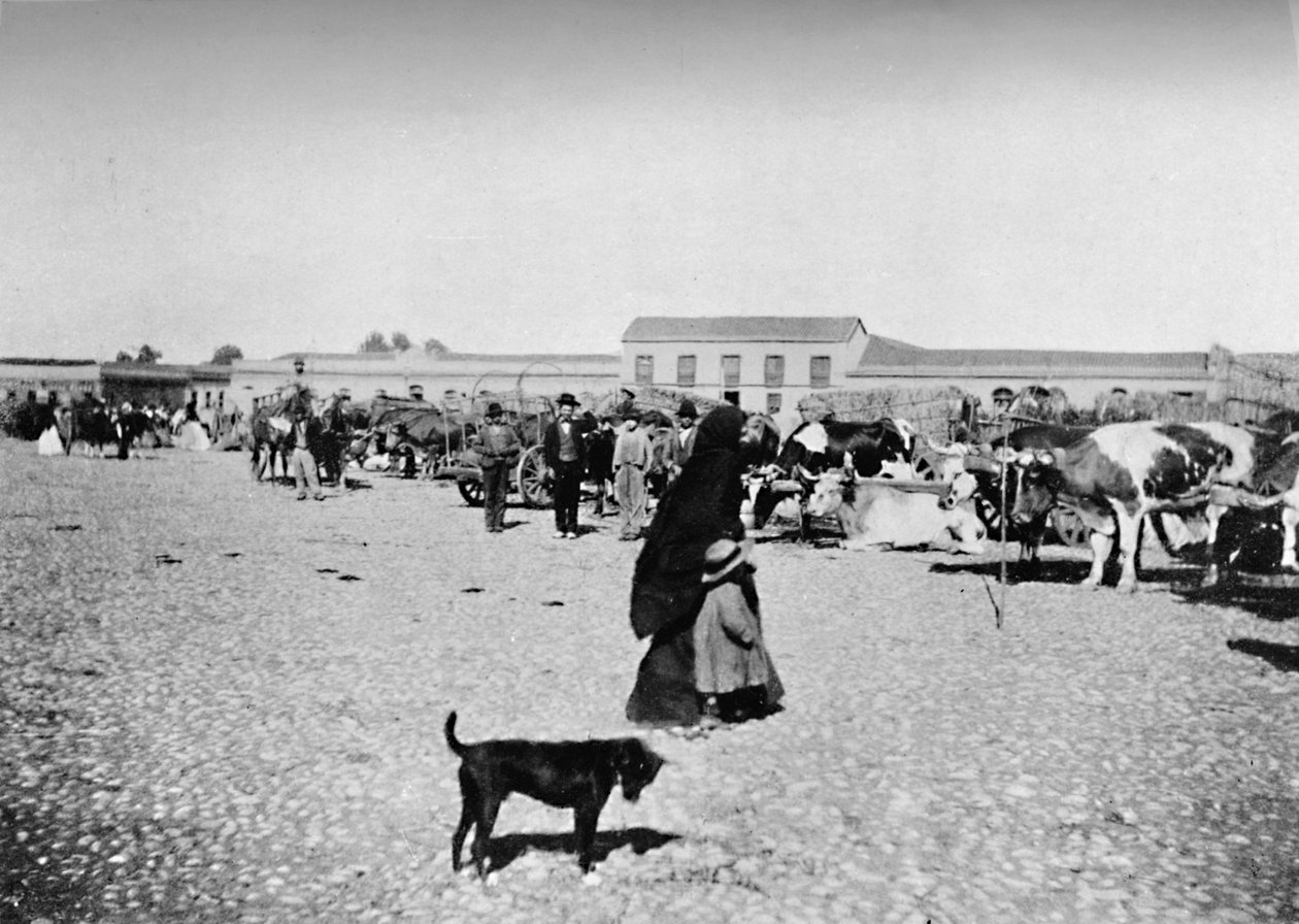 Marktdag in Chillan, 1911 door Unbekannt
