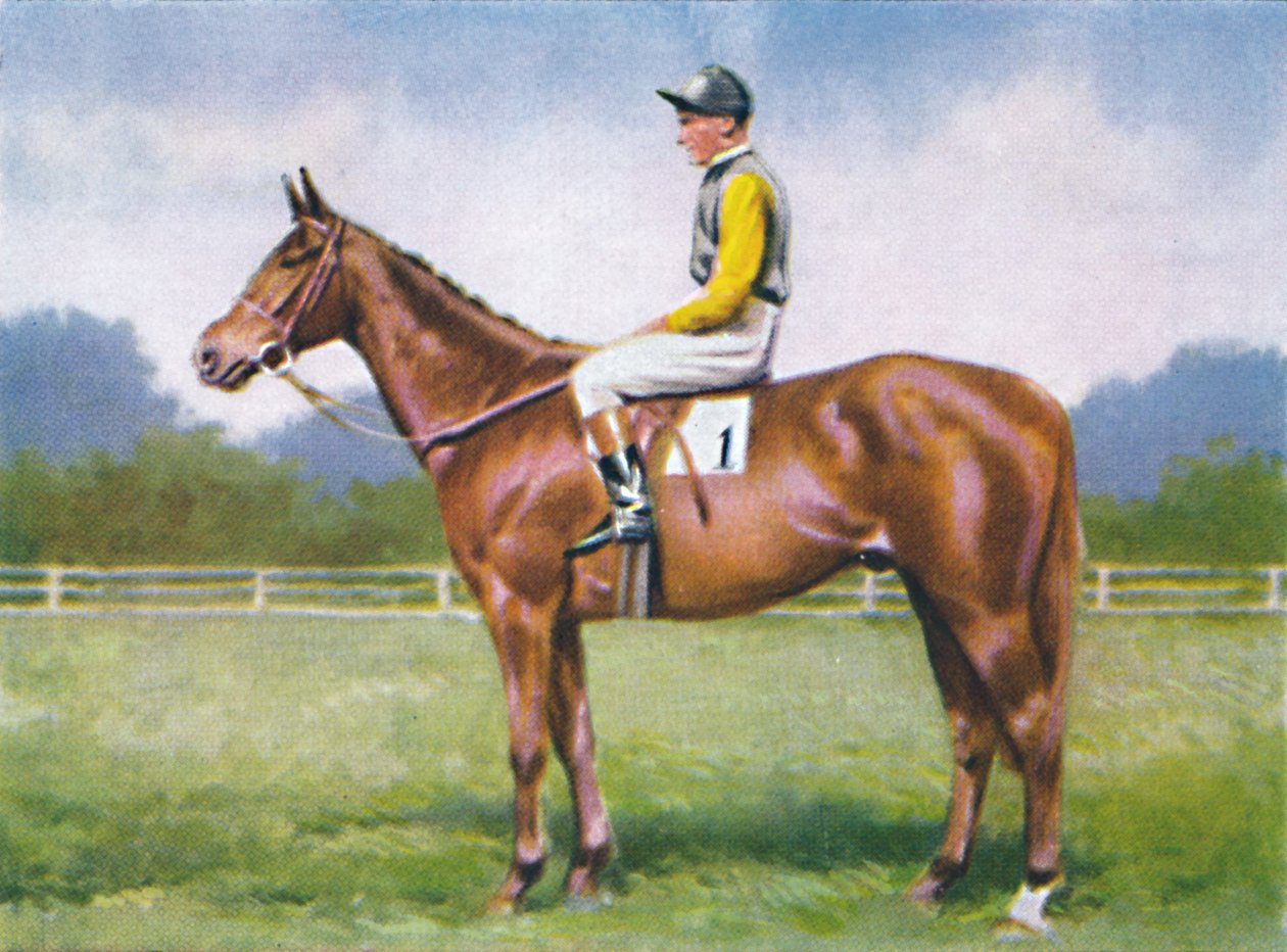 Morse Code, Jockey: D. Morgan, 1939 door Unbekannt
