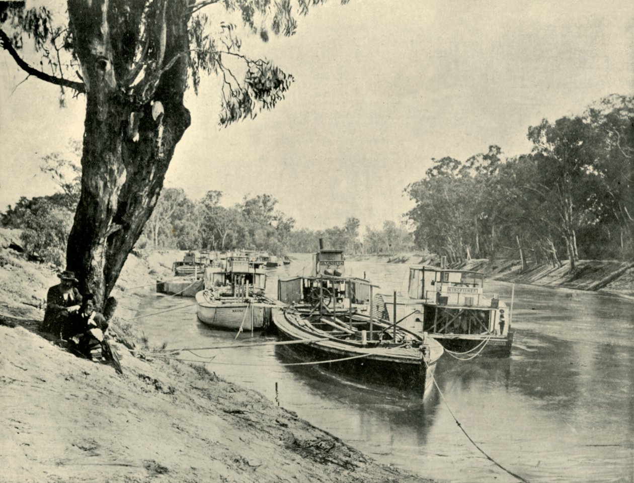 Murray Schuiten en Stoomschepen bij Echuca, 1901 door Unbekannt