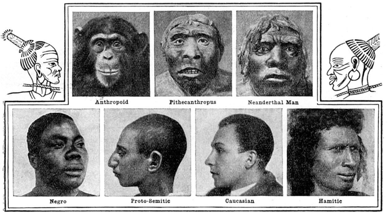 Natuurlijke evolutionaire ontwerpen in neuzen, 1922 door Unbekannt