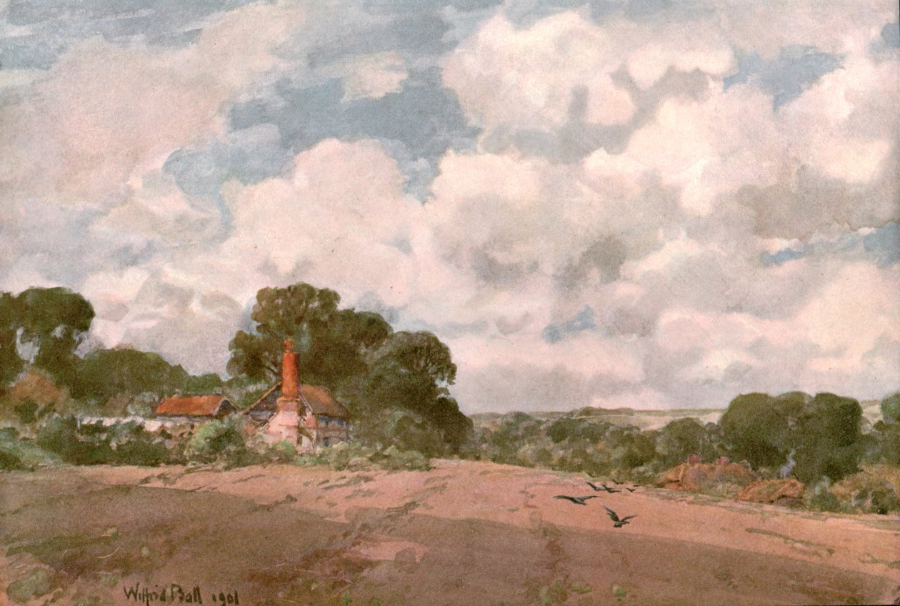 Bij de Hogsback, Surrey, 1901 door Unbekannt