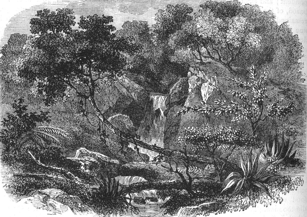 Nieuw-Zeelands landschap, ca. 1880 door Unbekannt