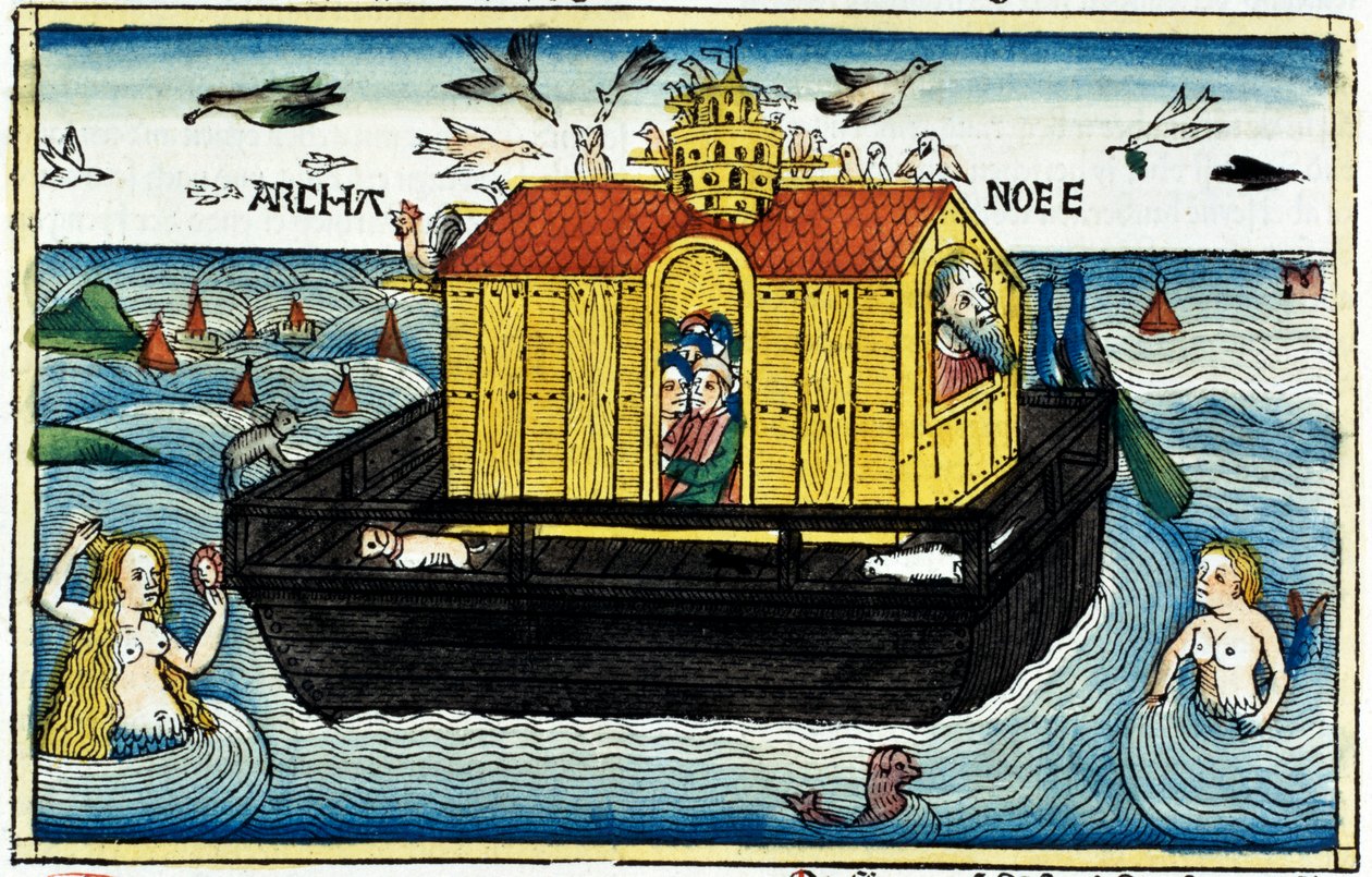 De Ark van Noach door Unbekannt