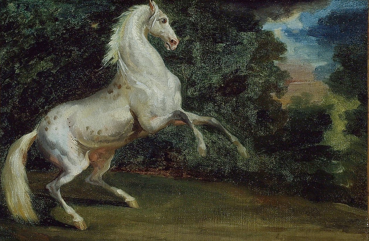 Dansend paard, 1808-1812 door Unbekannt