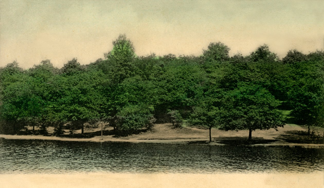 Queensmere, Wimbledon Common, Londen door Unbekannt