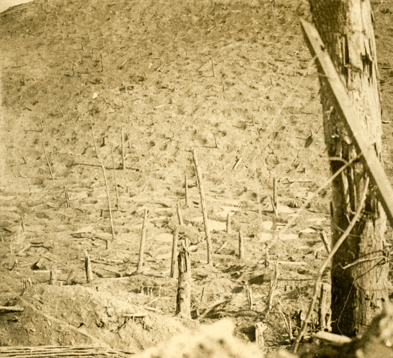 Ravijn bij Les Éparges, Noord-Frankrijk, ca. 1914-ca. 1918 door Unbekannt