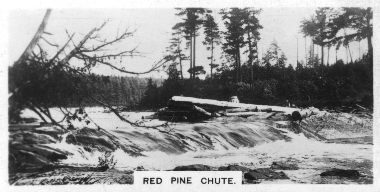 Red Pine Chute, Canada, ca. 1920s door Unbekannt