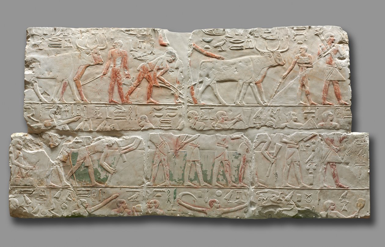 Reliëf van Landbouwscènes, ca. 2311-2281 door Unbekannt