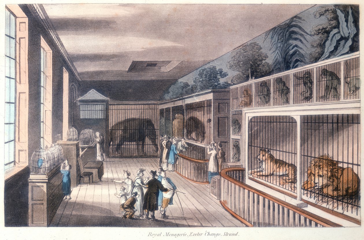Koninklijke menagerie, Exeter Change, Strand, Londen door Unbekannt