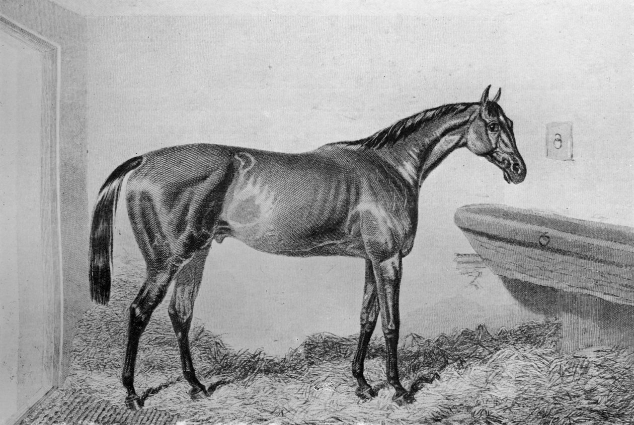Saucebox, ca. 1840-1880, 1911 door Unbekannt