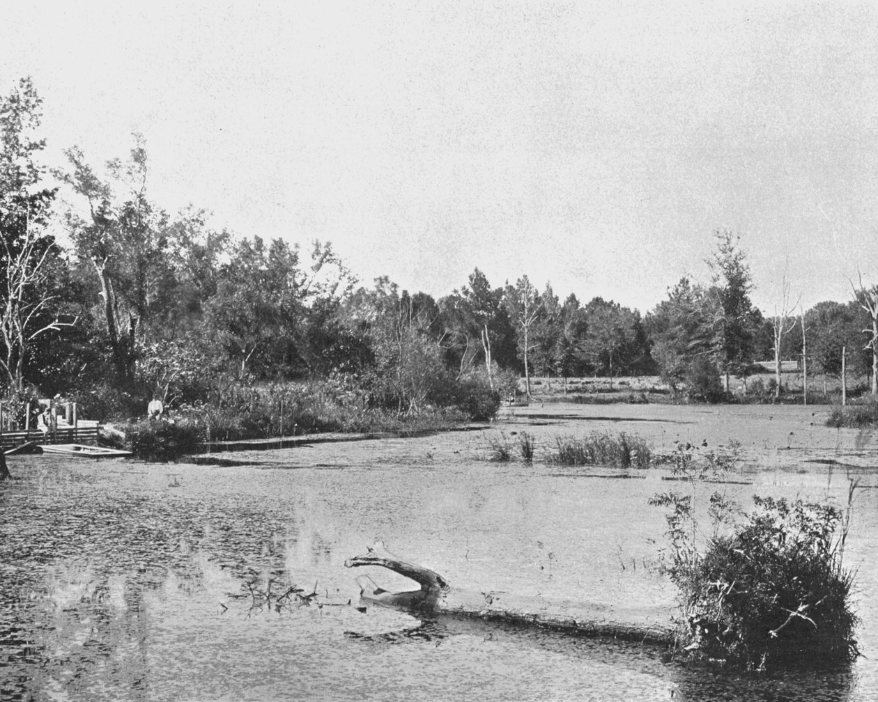 Scène in Mississippi, VS, ca. 1900 door Unbekannt