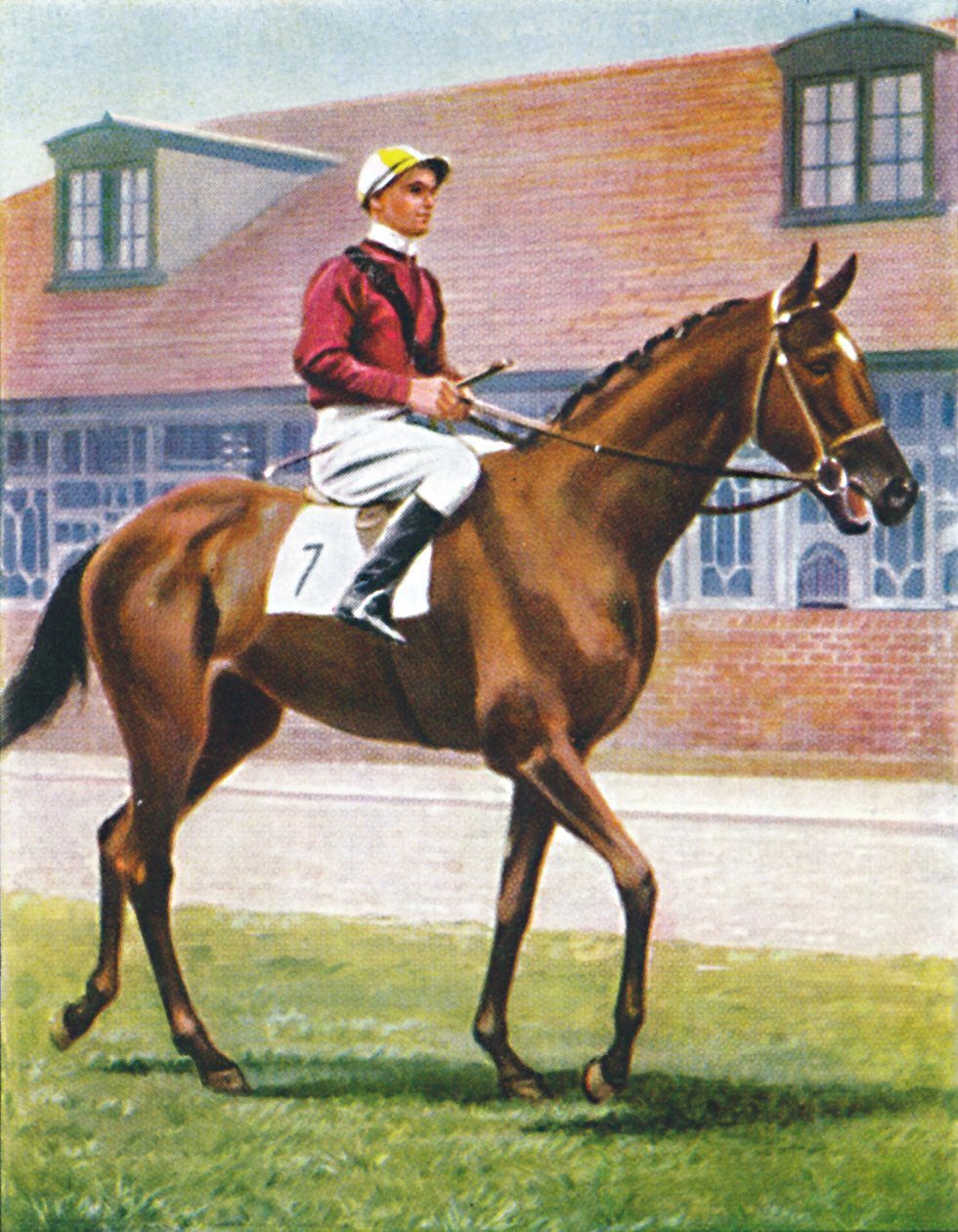 Senor, Jockey: J. Crouch, 1939 door Unbekannt