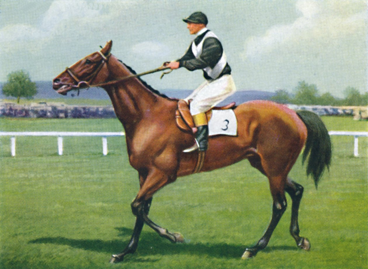 Shalfleet, Jockey: R. Perryman, 1939 door Unbekannt