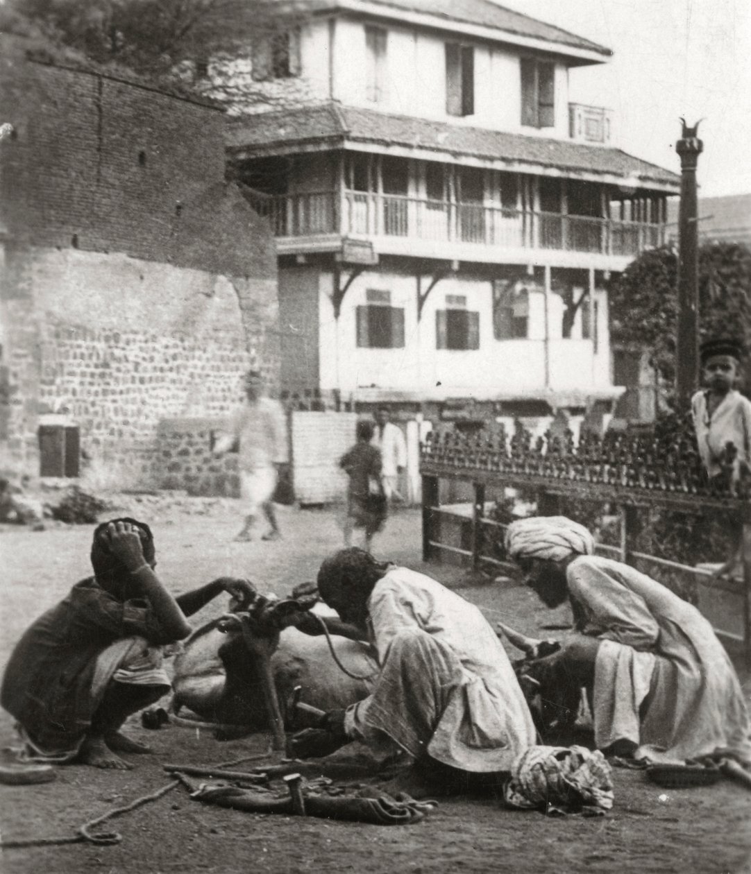 Een os beslaan, India, c1927 door Unbekannt