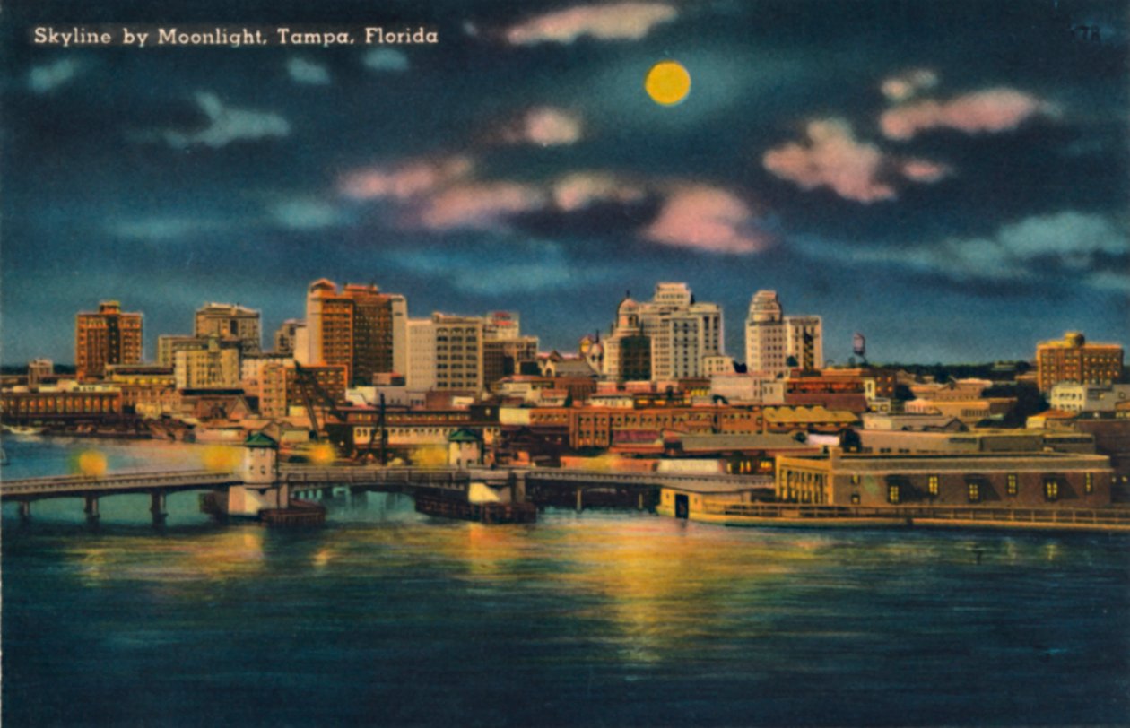Skyline bij maanlicht, Tampa, Florida door Unbekannt