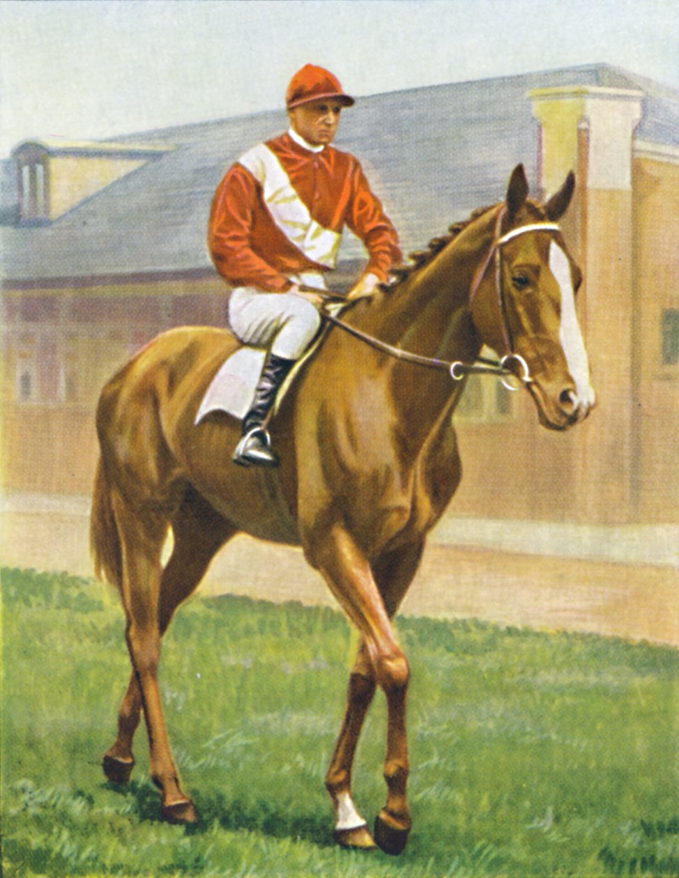 Snake Lightning. Jockey: T. Hawcroft door Unbekannt