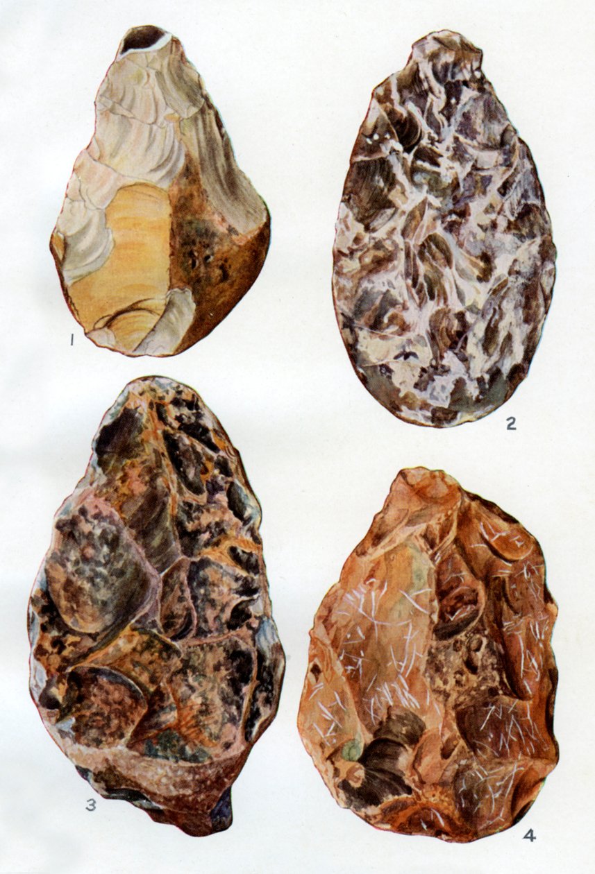 Specimens van patinering in Groot-Brittannië, 1926 door Unbekannt