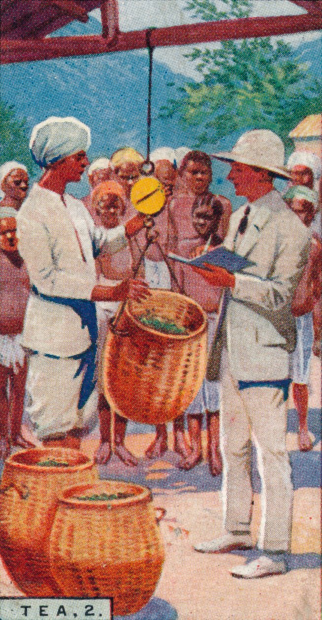 Thee, 2. - Het wegen van de pluk, Ceylon door Unbekannt