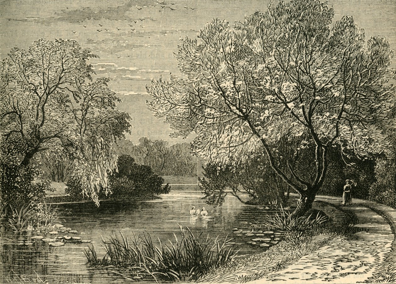 De Botanische Tuinen, Regents Park, ca. 1876 door Unbekannt