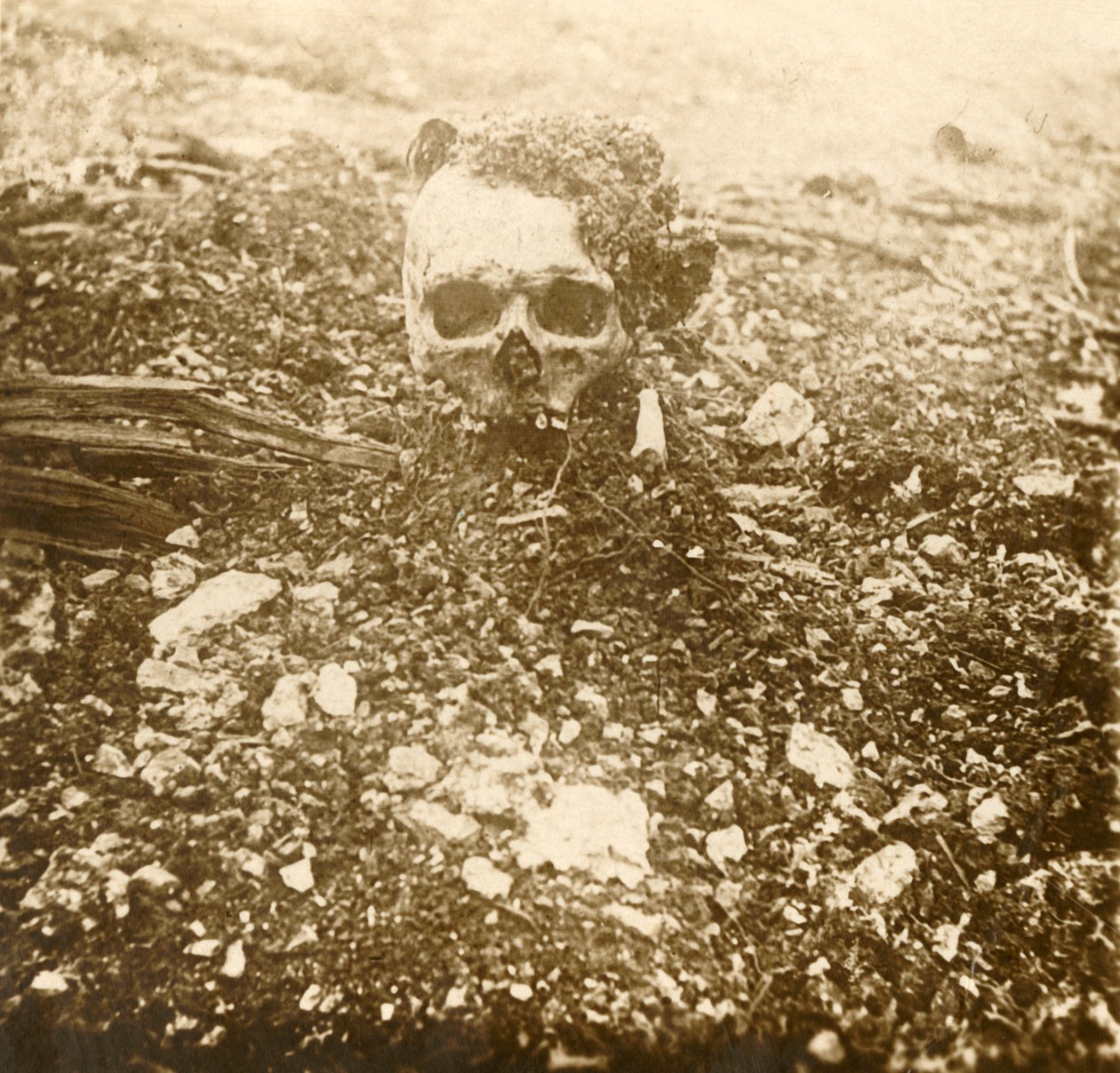 De kroonprins, Verdun, Noord-Frankrijk, 1916 door Unbekannt