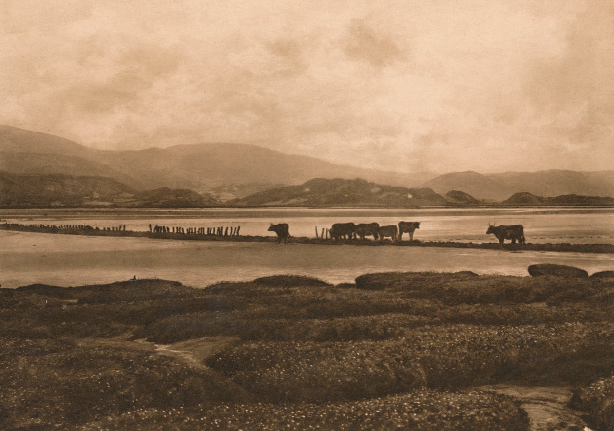 De Dovey bij Ynyslas, 1902 door Unbekannt