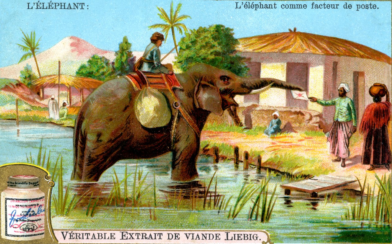 De olifant als postbode, ca. 1900 door Unbekannt
