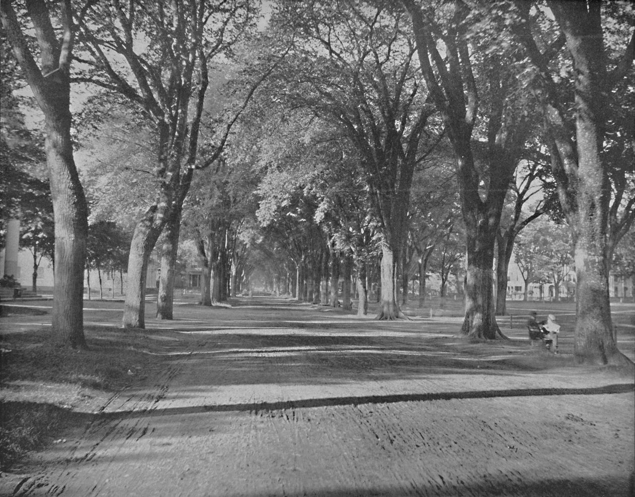 The Elms, New Haven, Conn., ca. 1897 door Unbekannt