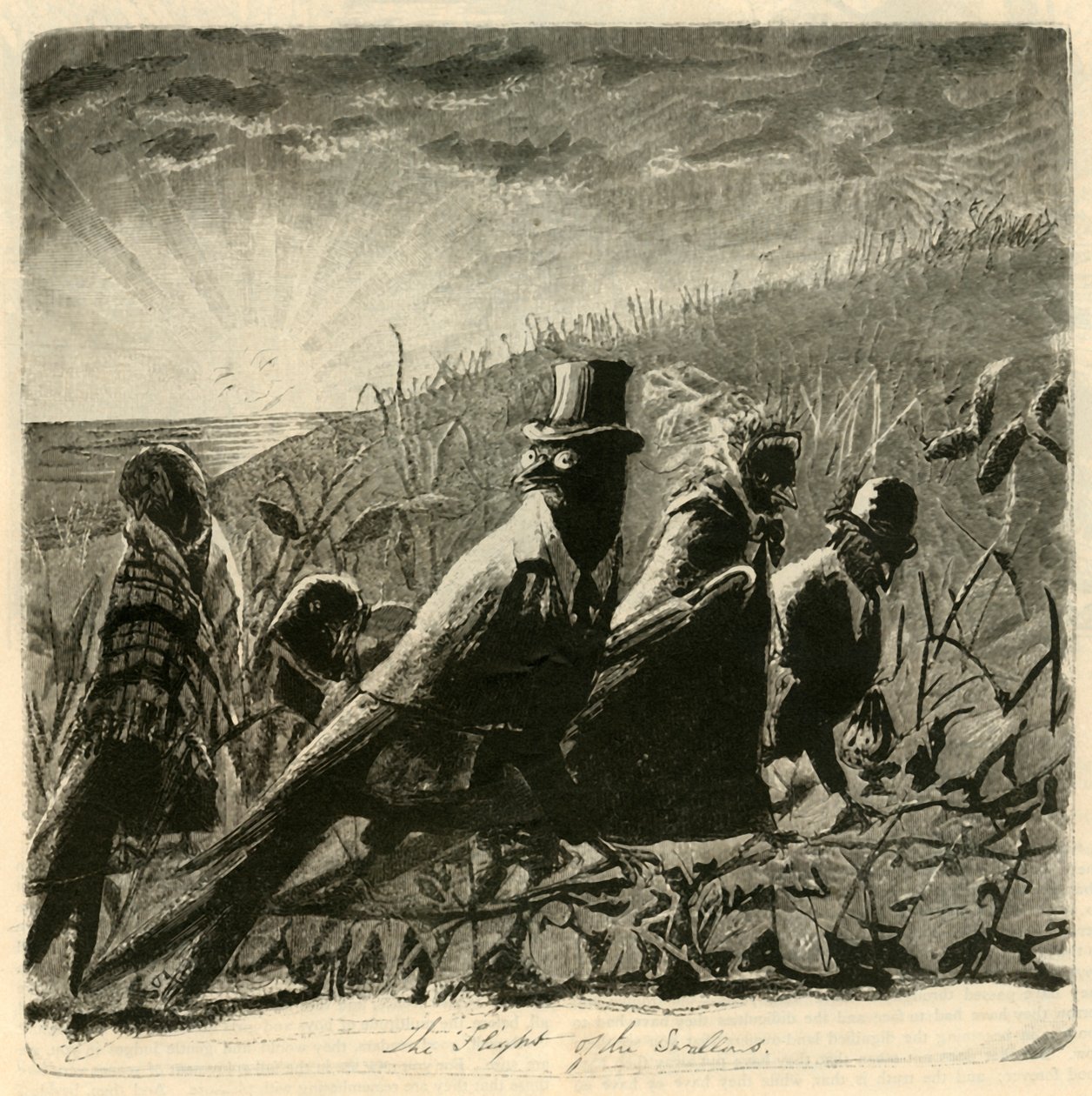 De Vlucht van de Zwaluwen, 1882 door Unbekannt