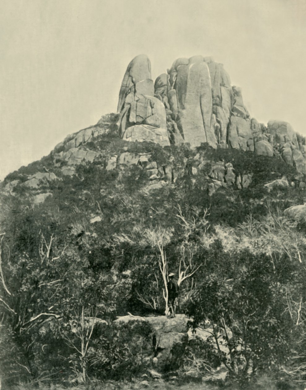 De Bult, Buffalo Mountains, 1901 door Unbekannt