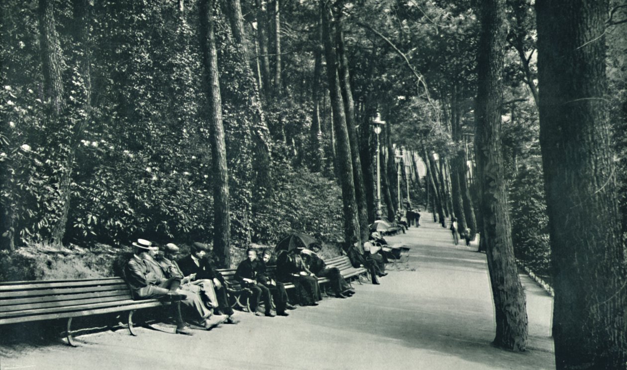 De wandeling van de invaliden, ca. 1910 door Unbekannt