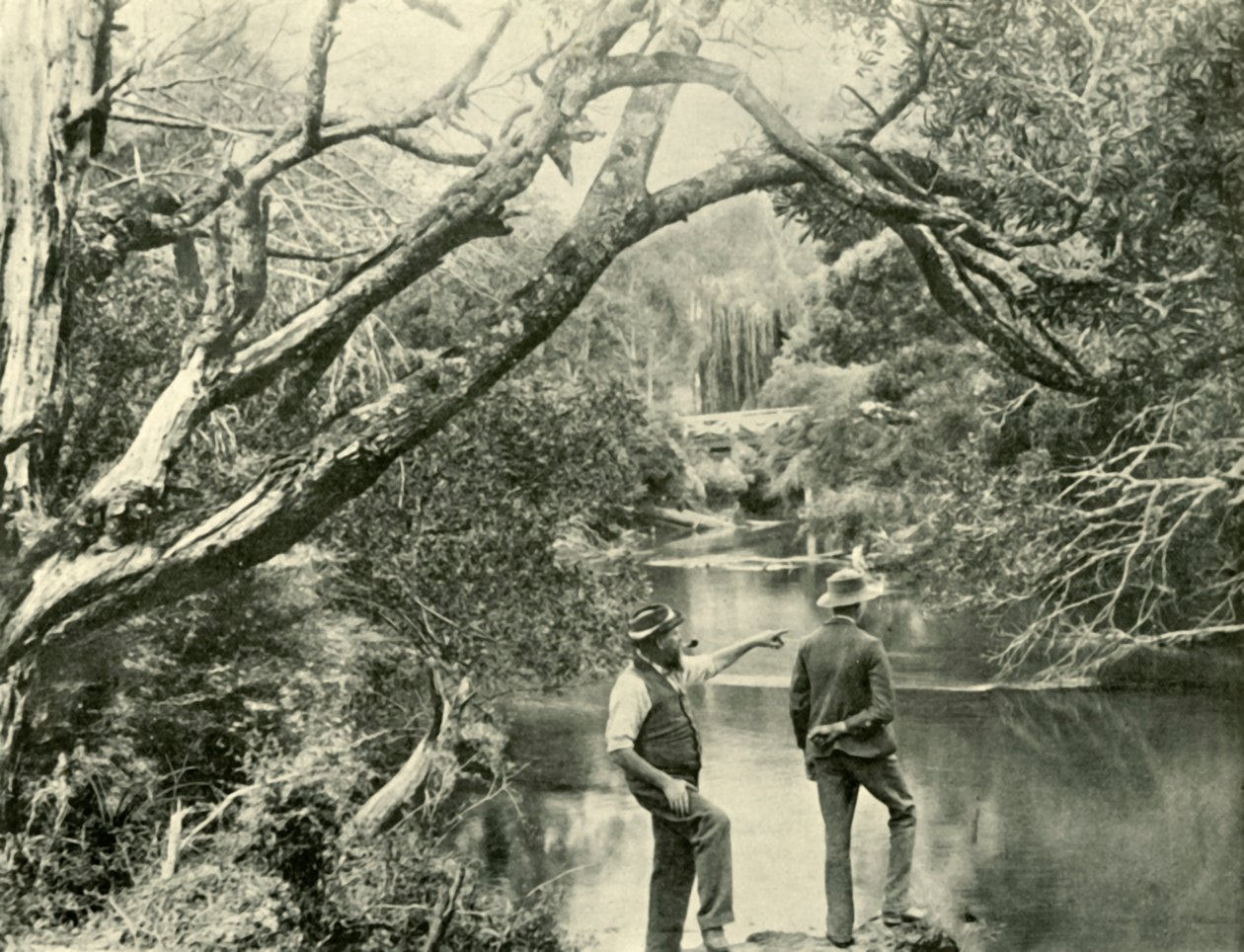 De Lancering Plaats, Upper Yarra, Victoria, 1901 door Unbekannt
