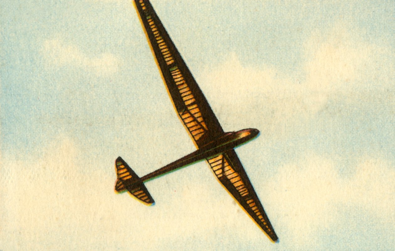 De Lippisch Wien zweefvliegtuig, 1929 door Unbekannt