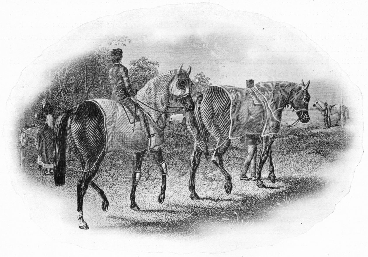 De volgende race, 19e eeuw, 1911 door Unbekannt