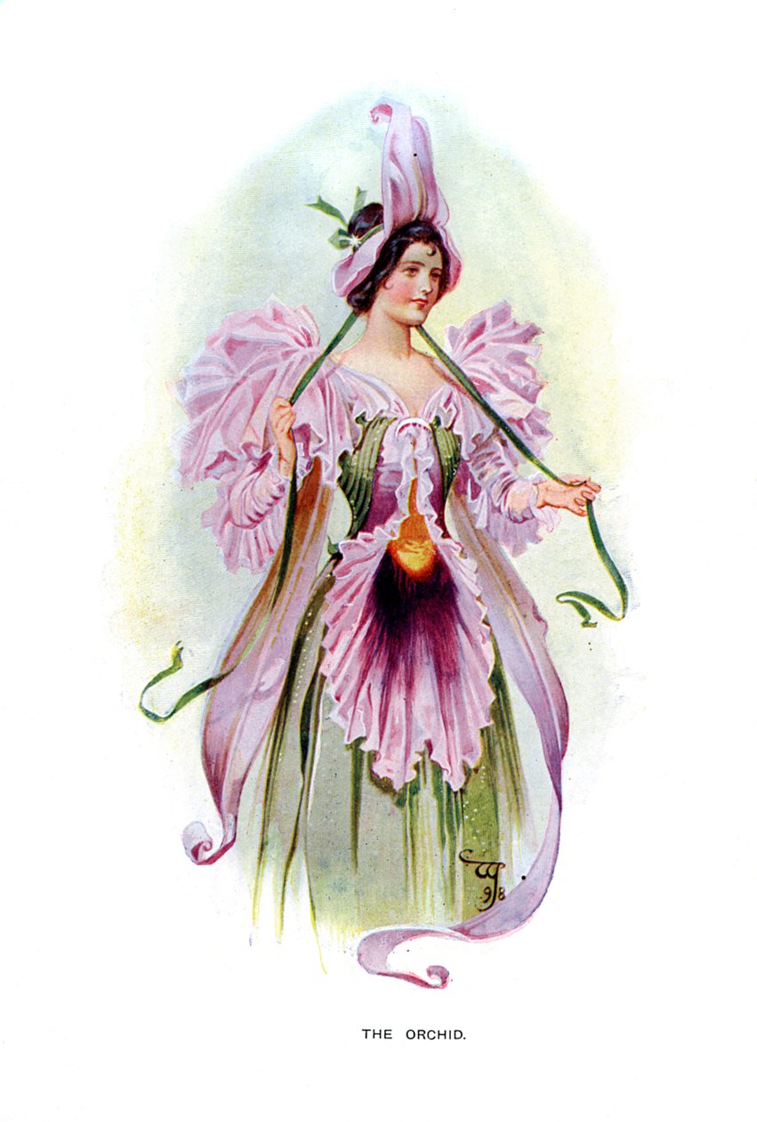 De orchidee, 1899 door Unbekannt