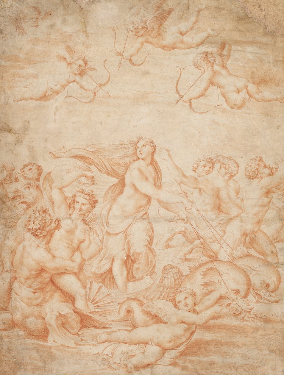De triomf van Galatea, 16e eeuw door Unbekannt