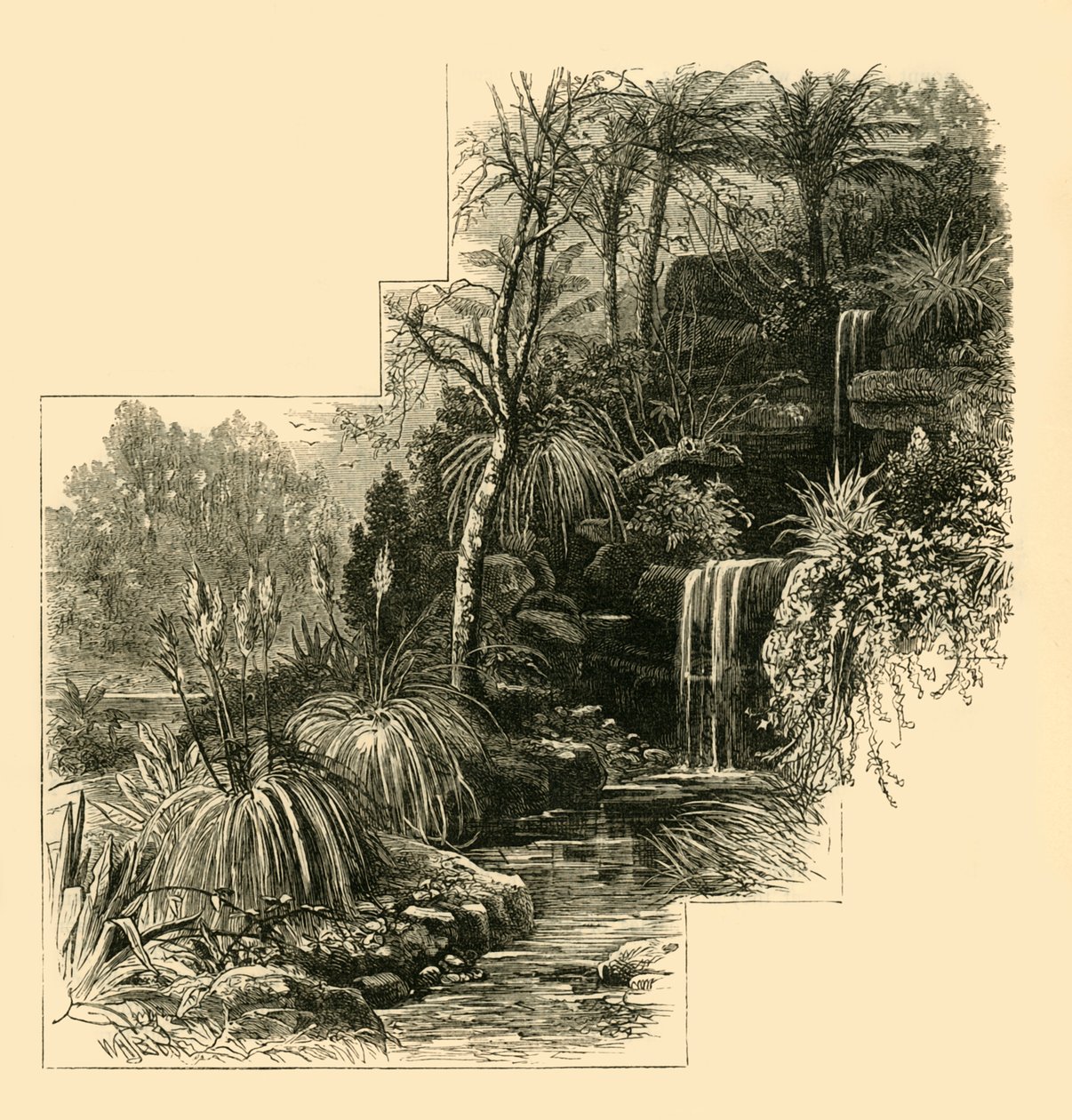De Tropische Tuinen, Battersea Park, c1878 door Unbekannt