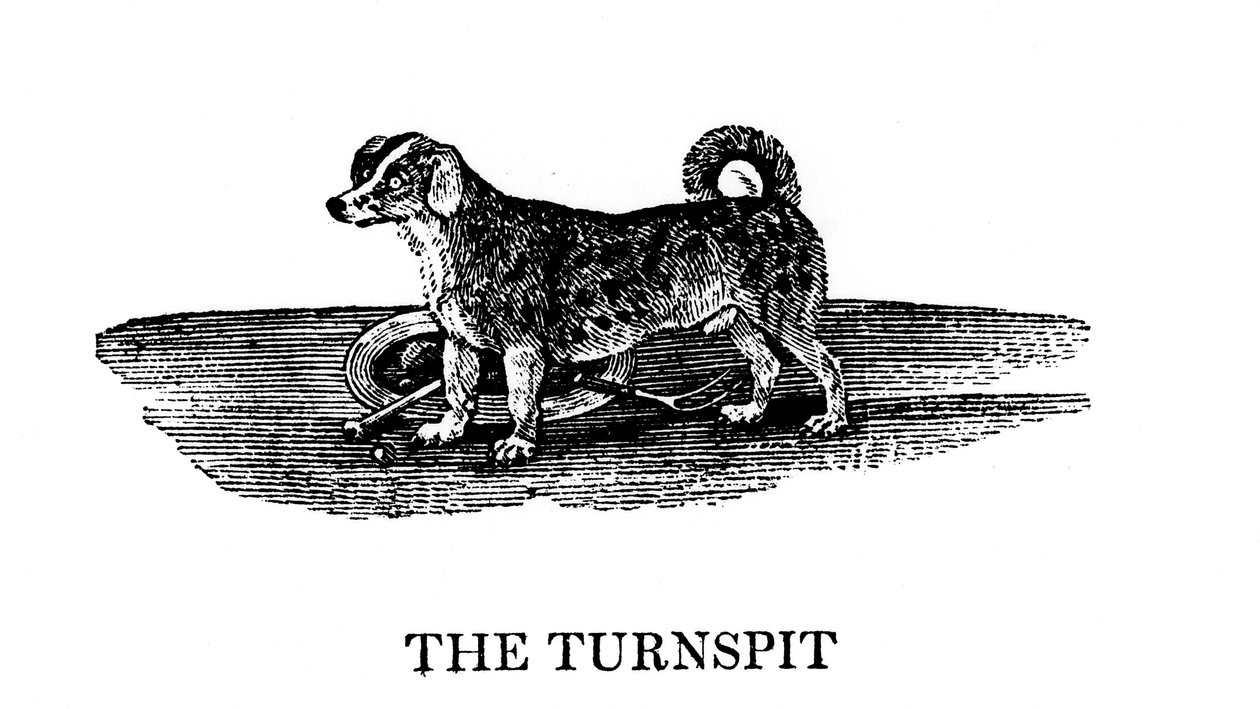 De Tunspit, 1790 door Unbekannt