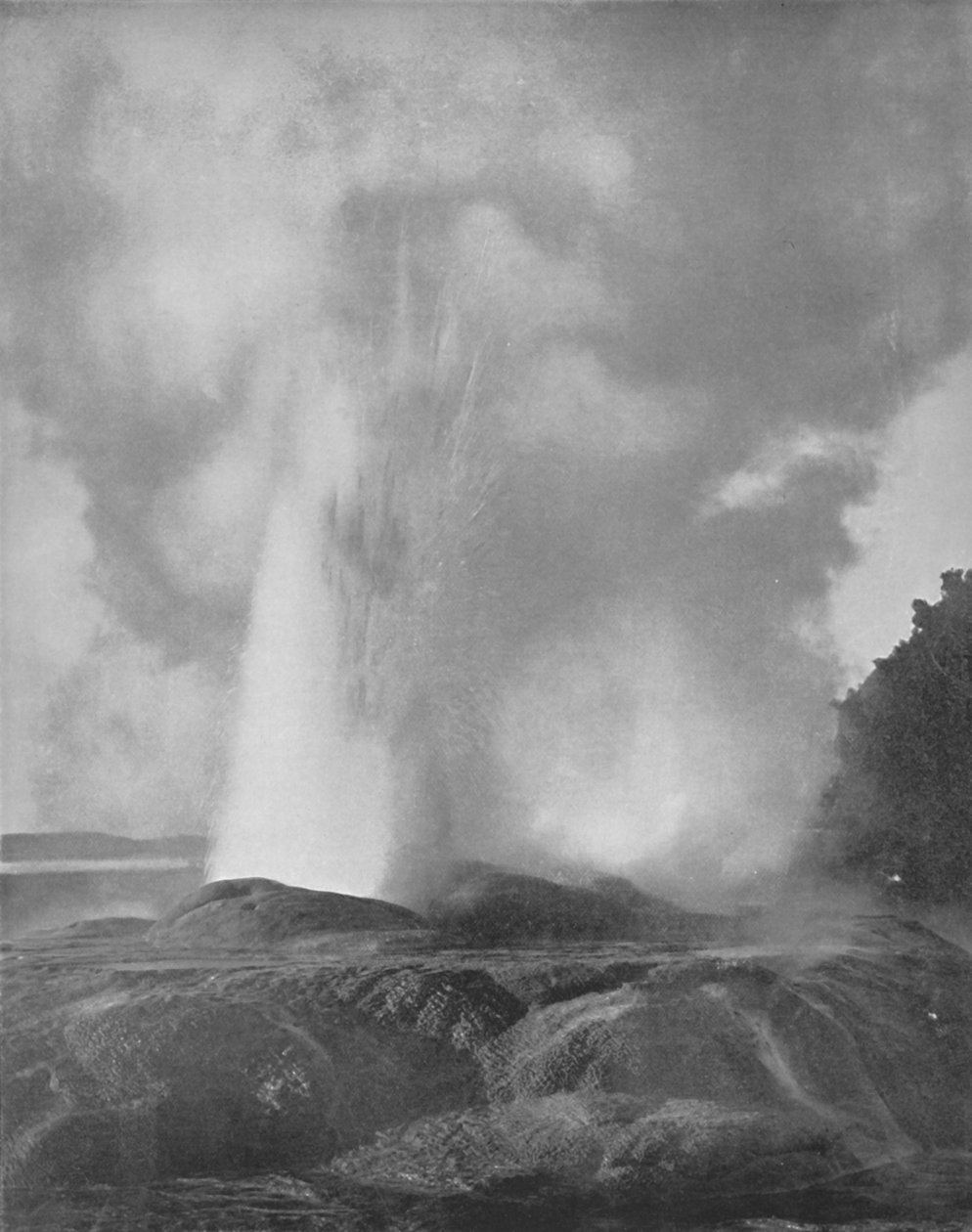 De Waikite Geyser, 19e eeuw door Unbekannt