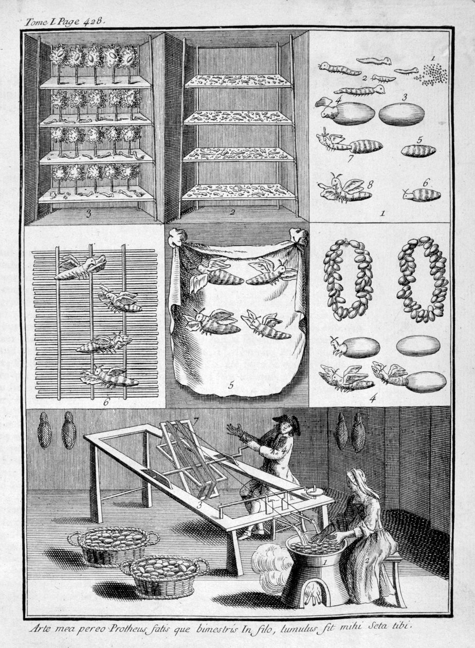 De kweek van zijderupsen, 1775 door Unbekannt