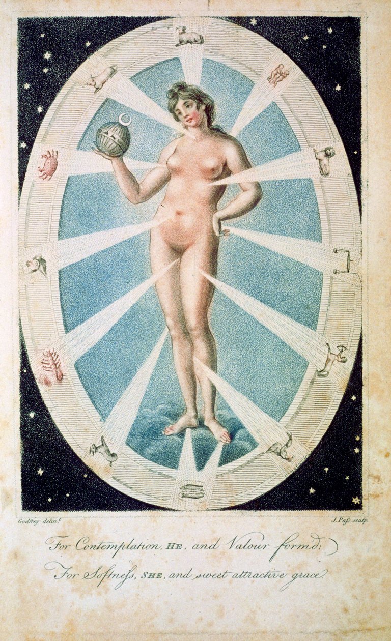 De vrouwelijke vorm met astrologische symbolen, 1790 door Unbekannt