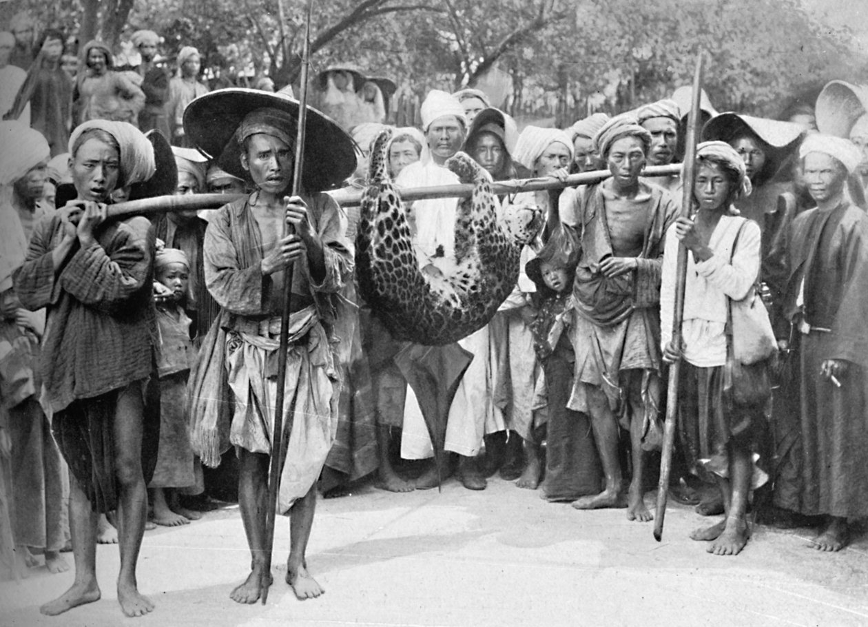 De buit van de jungle, 1902 door Unbekannt