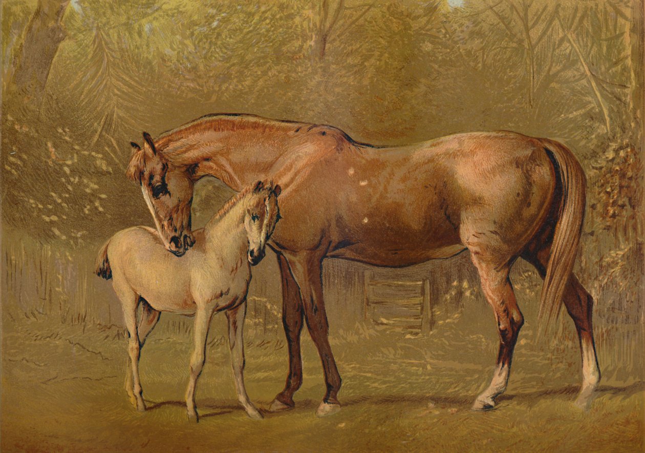 Volbloed Merrie en Veulen, ca. 1879 door Unbekannt