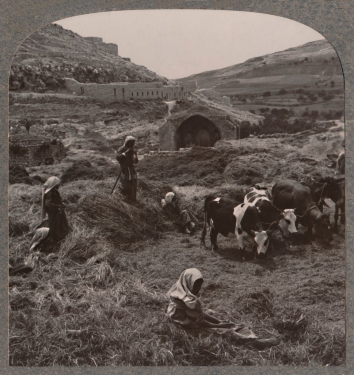 Graan dorsen bij Jacobs Well, circa 1900 door Unbekannt