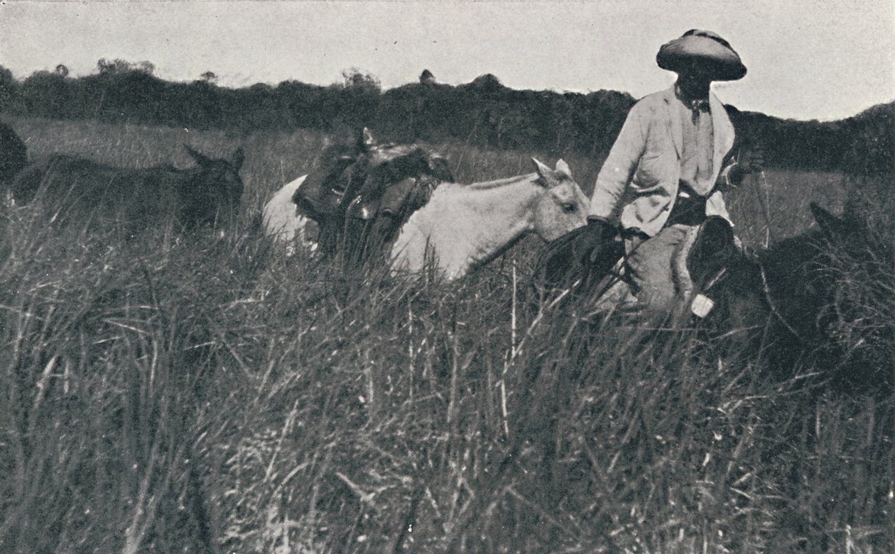 Reizen op de Pampas, 1916 door Unbekannt