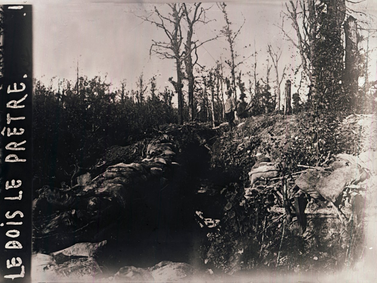 Loopgraven, Bois-le-Prêtre, Lotharingen, noordelijk Frankrijk, c1914-c1918 door Unbekannt