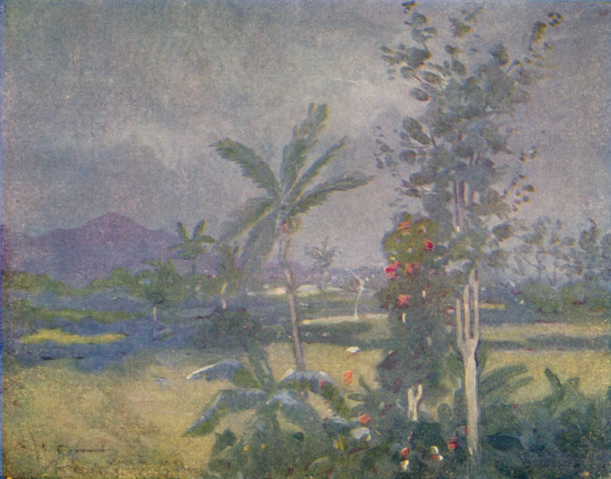 Tropische regen in de West-Indië, 1924 door Unbekannt