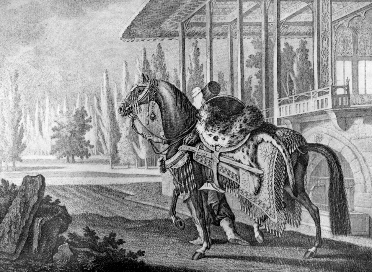 Turkse Pasha