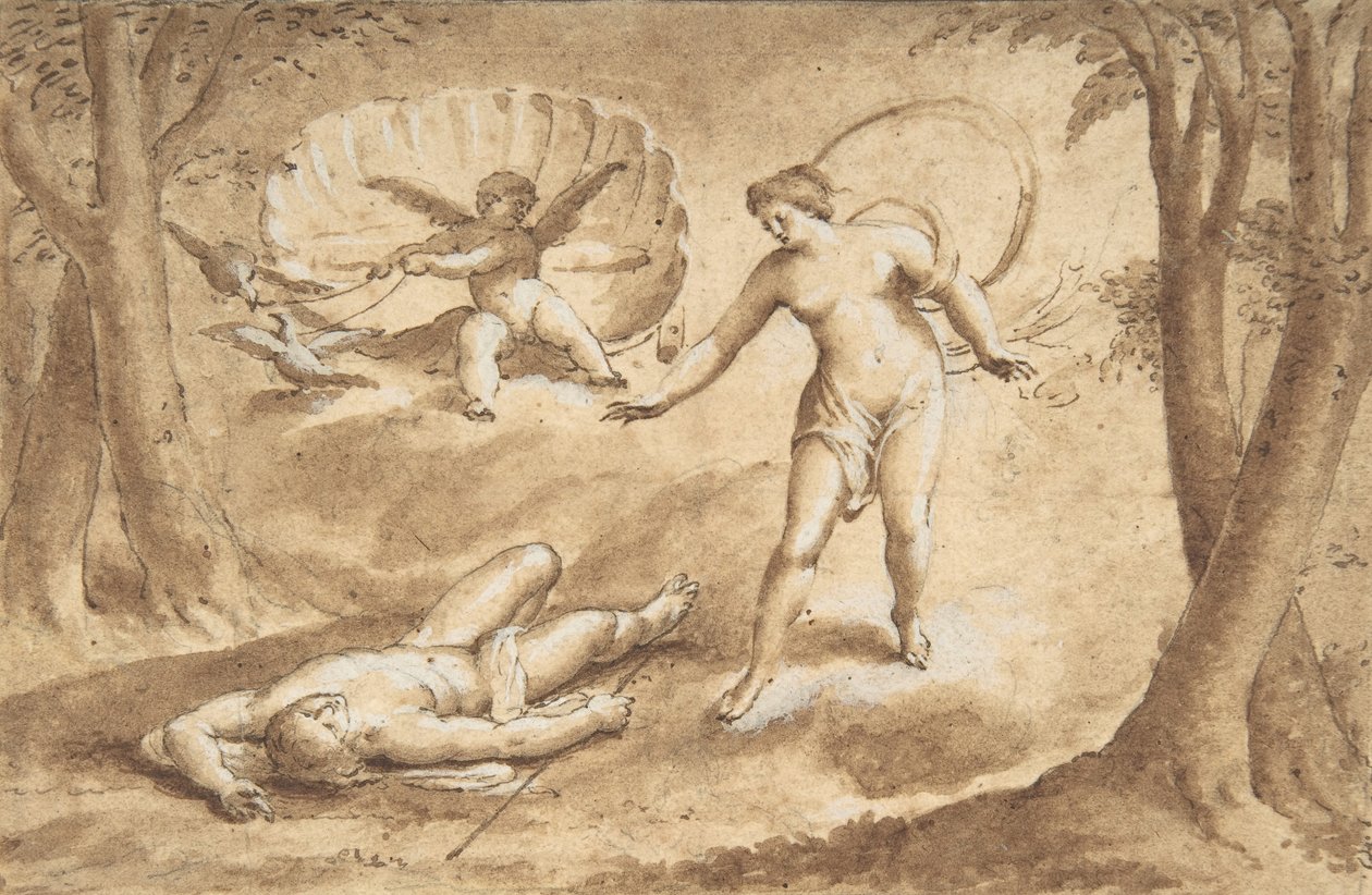Venus ontdekt de dood van Adonis door Unbekannt