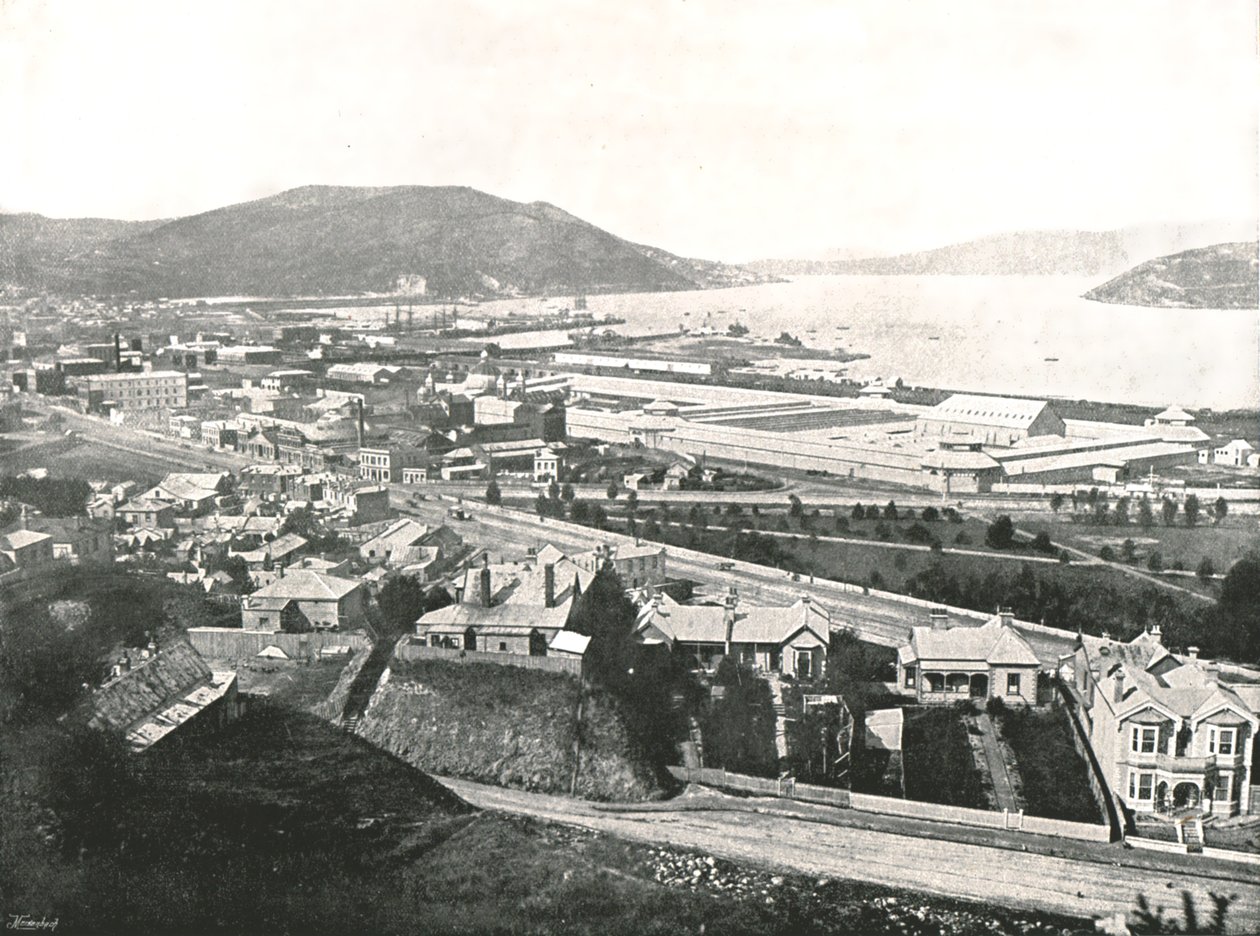 Uitzicht vanaf Maitland Street, Dunedin, Nieuw-Zeeland, 1895 door Unbekannt