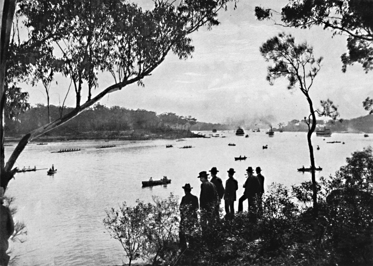 Uitzicht op de Parramatta-rivier door Unbekannt